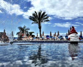 Tenerife - Canary Islands